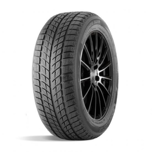 Шины Doublestar Winterking DW09 215/45 R17 91H