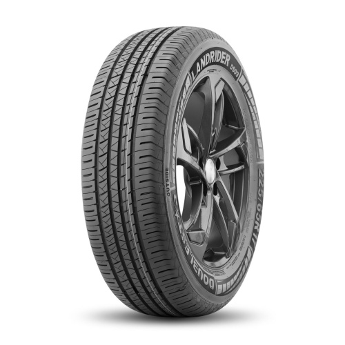 Шины DoubleStar DS09 235/60 R18 107H