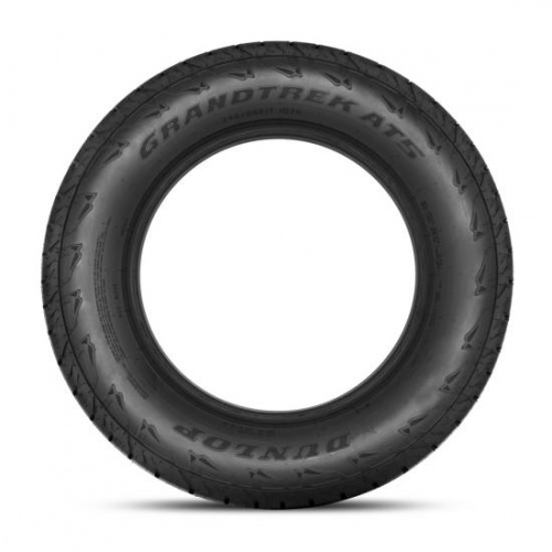 Шины Dunlop GrandTrek AT5 31/10.5 R15 109S