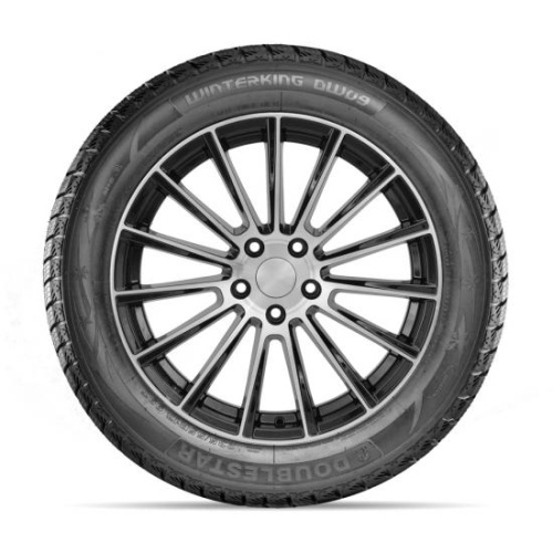 Шины Doublestar Winterking DW09 215/45 R17 91H