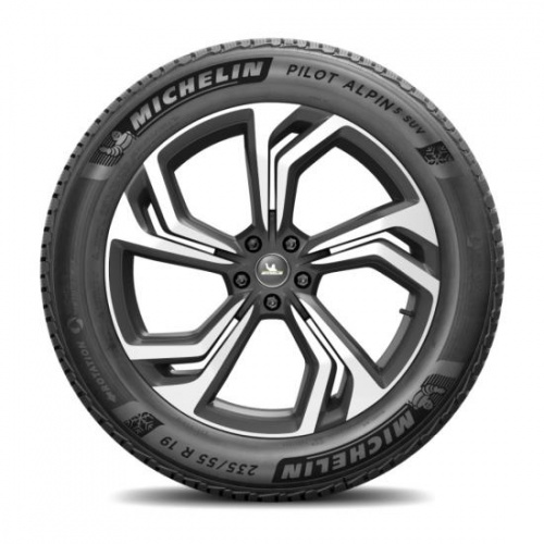 Шины MICHELIN Pilot Alpin 5 SUV 255/50 R19 107V